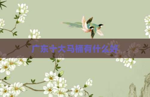 广东十大马桶有什么好