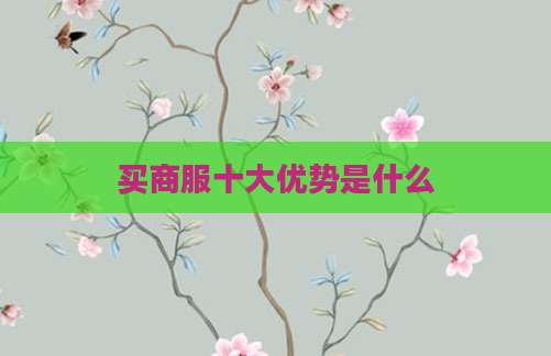 买商服十大优势是什么