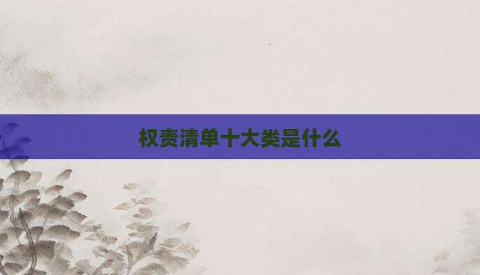 权责清单十大类是什么
