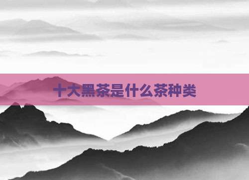 十大黑茶是什么茶种类