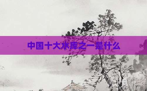 中国十大水库之一是什么