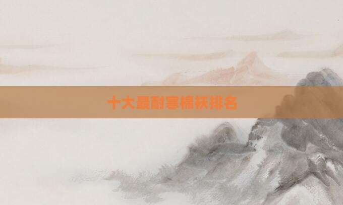 十大最耐寒棉袄排名