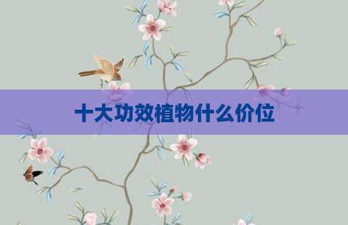十大功效植物什么价位