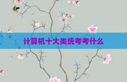 计算机十大类统考考什么