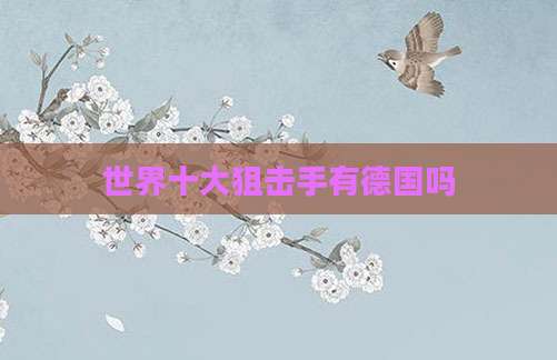 世界十大狙击手有德国吗