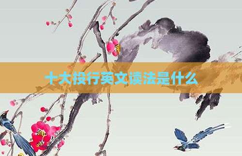 十大投行英文读法是什么