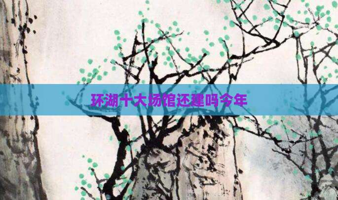 环湖十大场馆还建吗今年