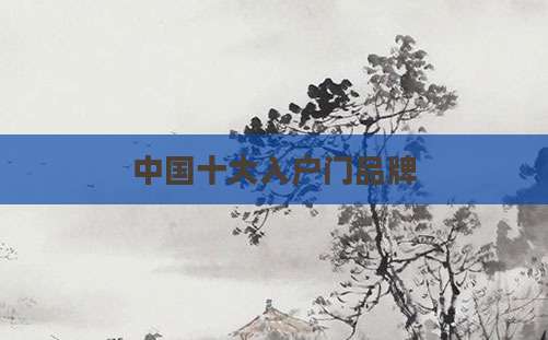 中国十大入户门品牌