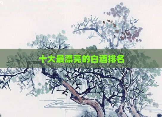 十大最漂亮的白酒排名