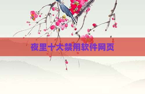 夜里十大禁用软件网页