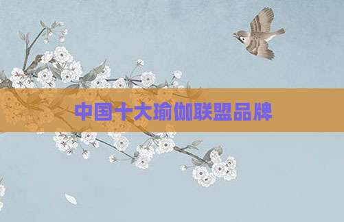 中国十大瑜伽联盟品牌