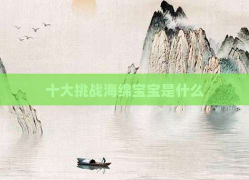 十大挑战海绵宝宝是什么