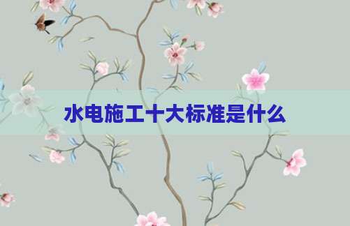 水电施工十大标准是什么