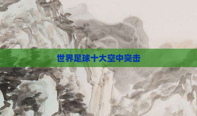 世界足球十大空中突击