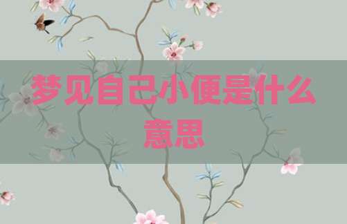 梦见自己小便是什么意思