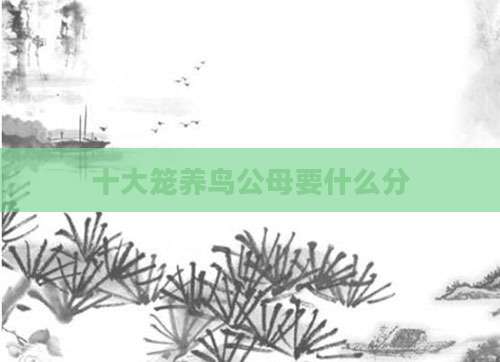 十大笼养鸟公母要什么分