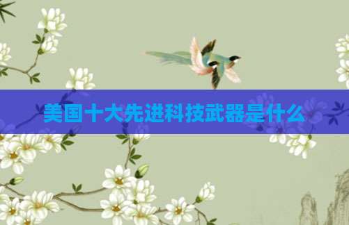 美国十大先进科技武器是什么