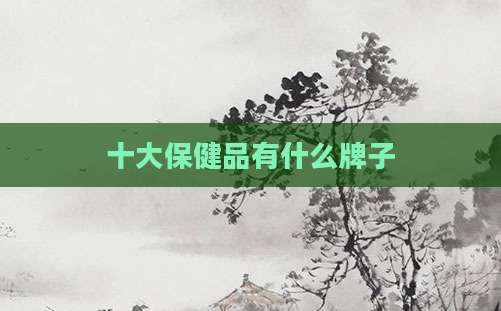 十大保健品有什么牌子