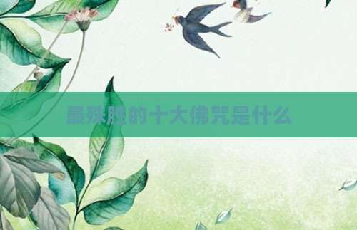 最殊胜的十大佛咒是什么
