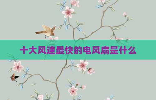 十大风速最快的电风扇是什么
