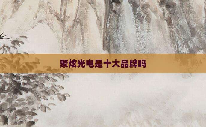 聚炫光电是十大品牌吗