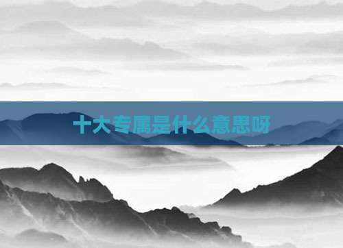 十大专属是什么意思呀