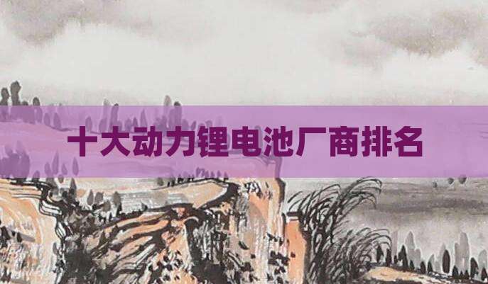 十大动力锂电池厂商排名
