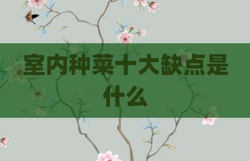 室内种菜十大缺点是什么