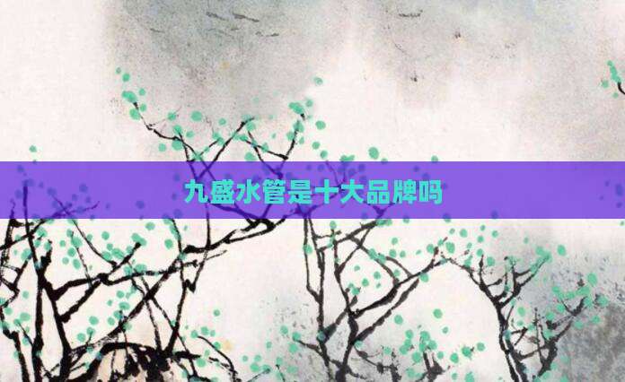 九盛水管是十大品牌吗