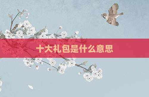 十大礼包是什么意思