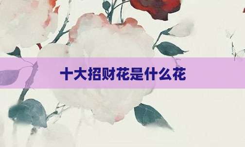 十大招财花是什么花