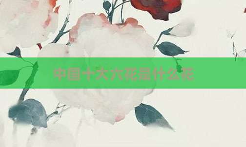 中国十大六花是什么花