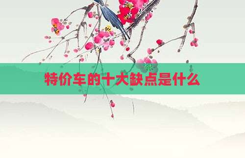 特价车的十大缺点是什么