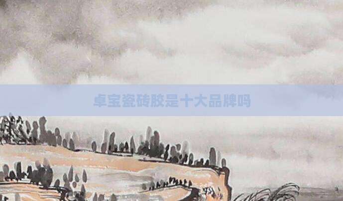 卓宝瓷砖胶是十大品牌吗