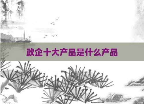 政企十大产品是什么产品