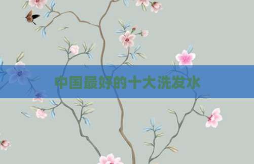中国最好的十大洗发水