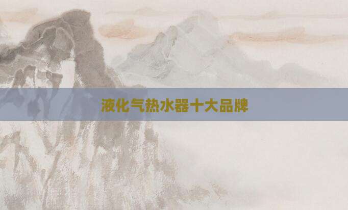 液化气热水器十大品牌