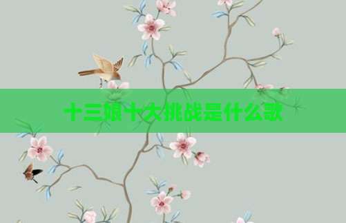 十三娘十大挑战是什么歌