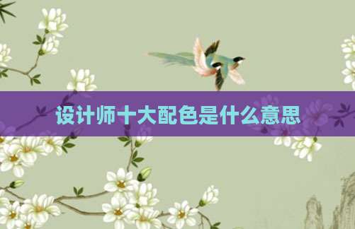 设计师十大配色是什么意思