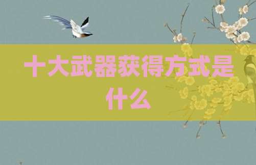 十大武器获得方式是什么