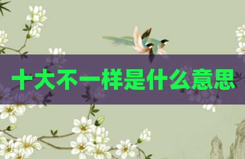 十大不一样是什么意思