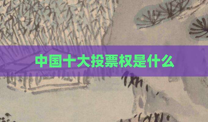 中国十大投票权是什么