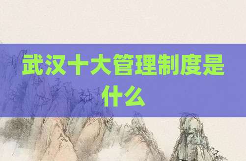 武汉十大管理制度是什么