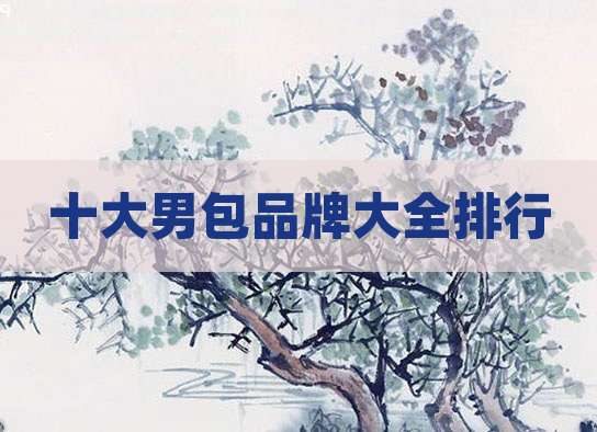 十大男包品牌大全排行
