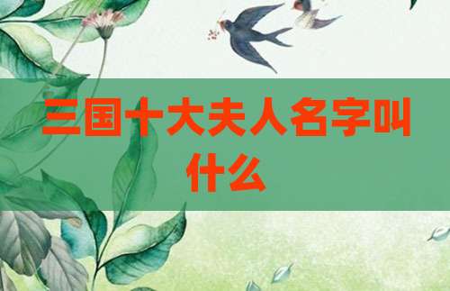 三国十大夫人名字叫什么