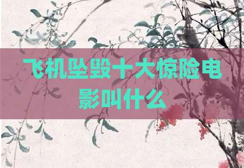 飞机坠毁十大惊险电影叫什么