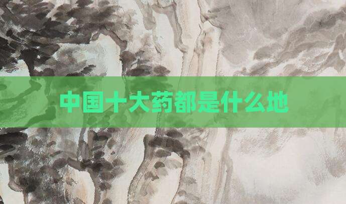 中国十大药都是什么地