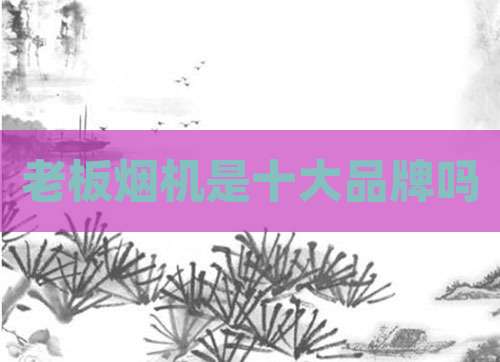 老板烟机是十大品牌吗