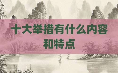 十大举措有什么内容和特点