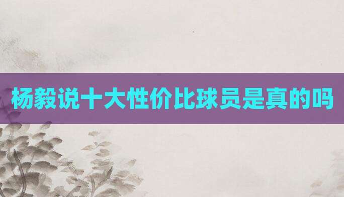 杨毅说十大性价比球员是真的吗